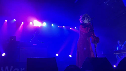 /../assets/images/featured/nL7NbrRuuyE_Macy-Gray-Sexual-Revolution-and-Beauty-in-the-World-_-Live.jpg